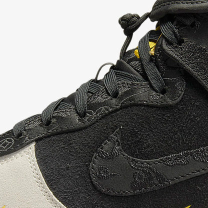 Nike äkta Dunk High Retro PRM herrskor DQ4978-001