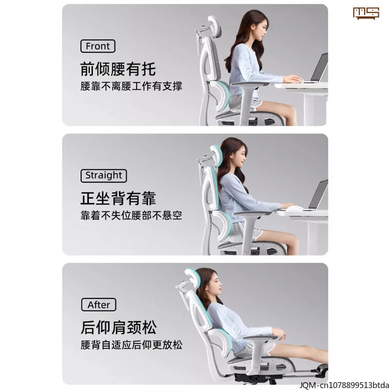 Comfortable Ergonomic Study Chair, Waist Support for Long Periods of Sitting, Lift Chair, Home Computer Swivel Office Chair