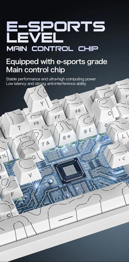 Attack Shark R82HE Wired RGB Magnetic Switch Keyboard, 256K Scan Sampling Rate, 0.005RT Accuracy 8K Return Rate